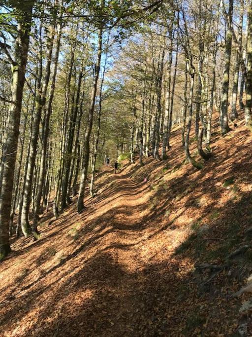La Magie Entre Deux Lacs Gérardmer Extérieur photo
