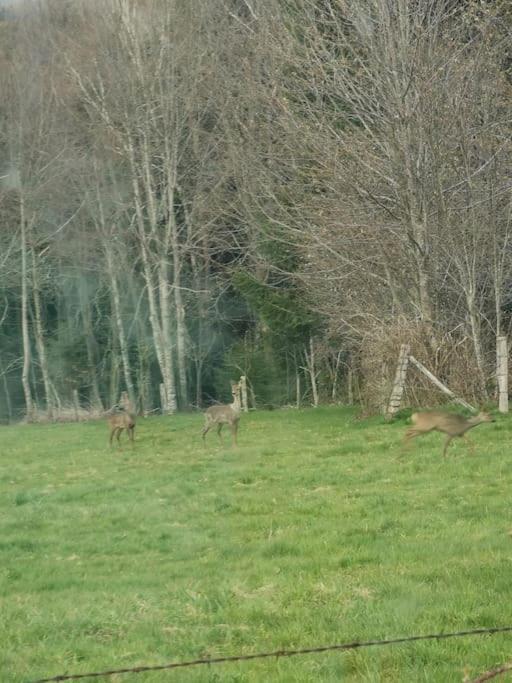 La Magie Entre Deux Lacs Gérardmer Extérieur photo