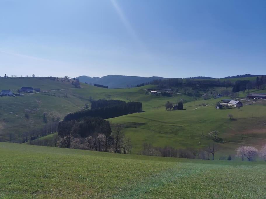 La Magie Entre Deux Lacs Gérardmer Extérieur photo